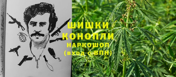 молекула духа Алзамай