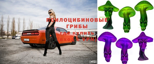 молекула духа Алзамай