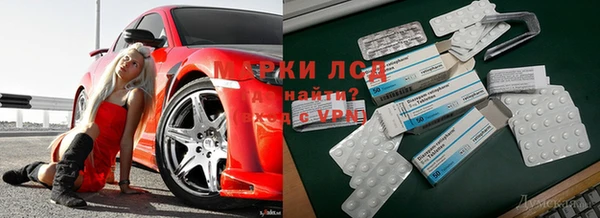 молекула духа Алзамай